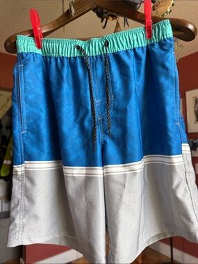 Men's Blue and Gray Colorblock Swim Trunks with Mint Waistband